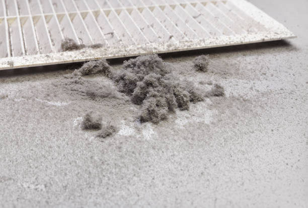 Best Dryer Vent Cleaning Services  in South Dennis, NJ
